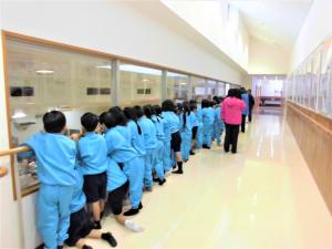 子どもたちが廊下から1階の調理場を見学する様子