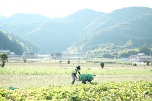 画像（農作業）