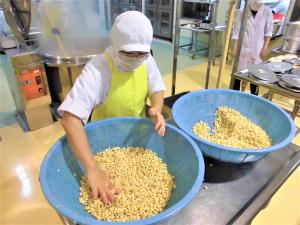 大豆を確認しているところ