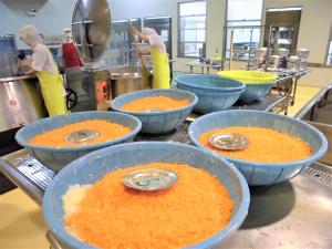 切り分けられた人参と玉ねぎ