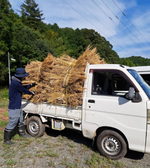 松本農園（わら積み込み作業）
