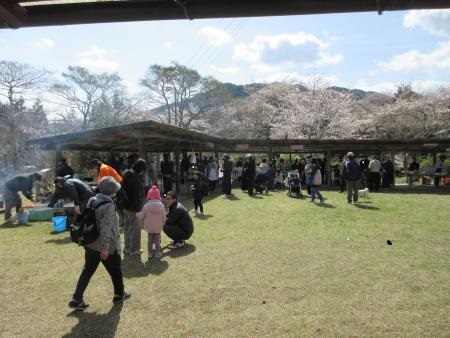 さくらまつりの写真