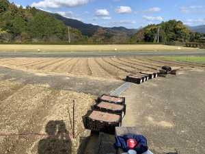 フラワーパーク（チューリップ定植１）