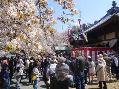 沖浦観音春祭りのようす