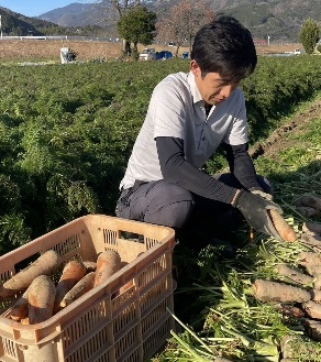 20260126川澄氏圃場人参雑草除去作業2(1)