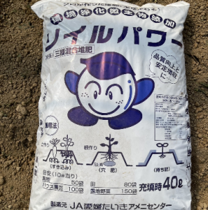 20260312 Pi-Nokyo4