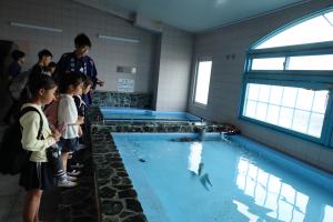 水族館見学