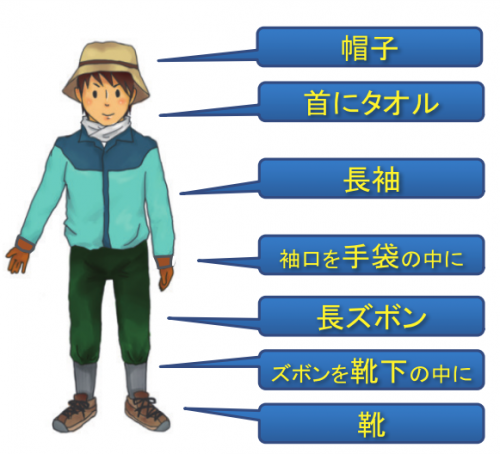 マダニ対策