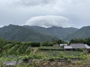 長浜(里山)からの風景