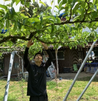 20260508 上須戒 青木梨園