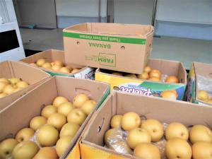 愛たい菜から納品された梨