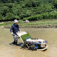 20260612 出海 田植え  川澄氏1