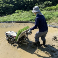 20260612 出海 田植え  川澄氏2
