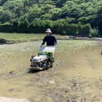 20260612 出海 田植え 川澄氏3