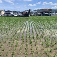 20260714 有機農業セミナー１