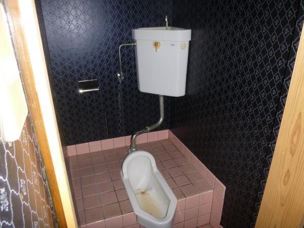 内部