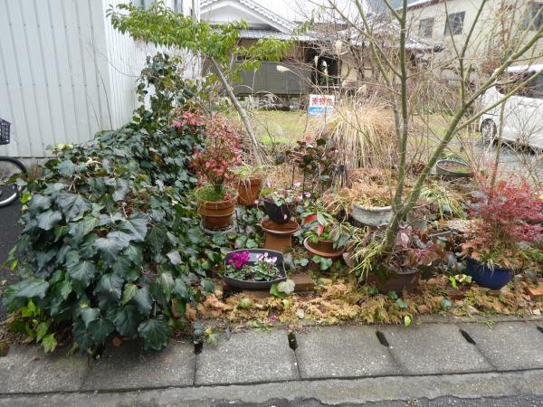 1-2-045(大洲・土地) 2