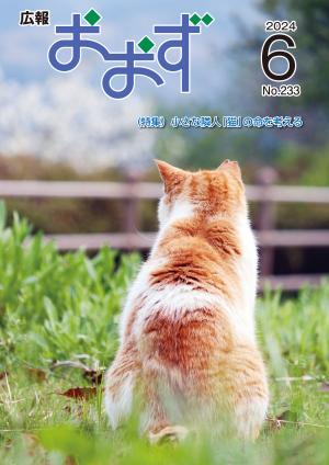 表紙（地域猫の後ろ姿）