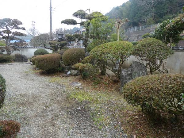 庭
