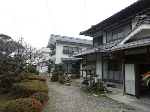 全景
