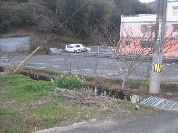 全景②