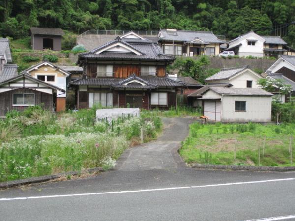 全景②