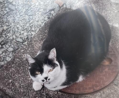 正面写真