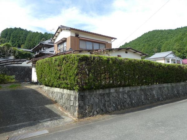 全景