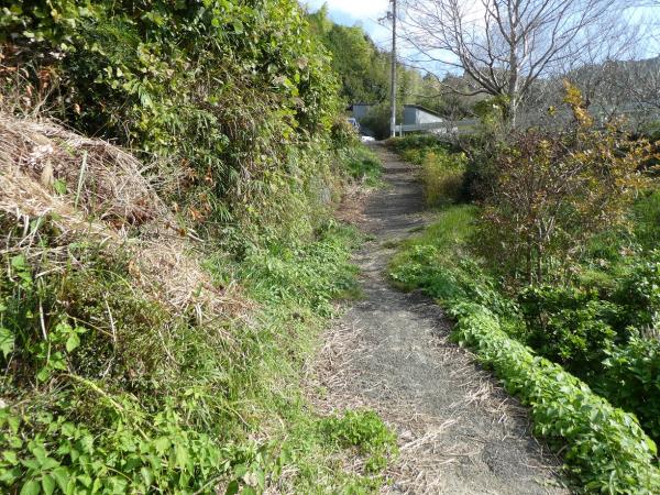 市道から居宅前までの通路