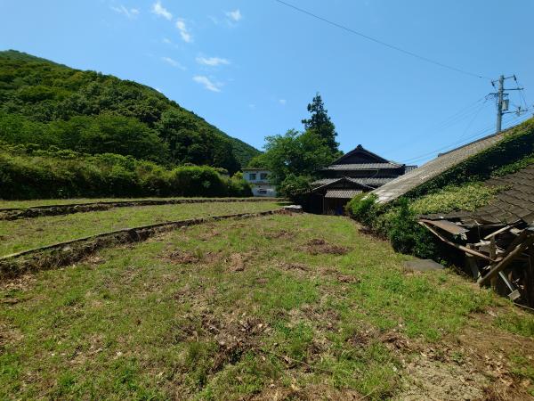 全景③