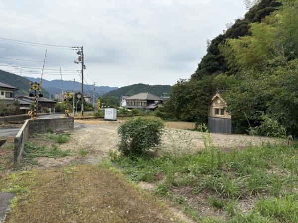 全景②