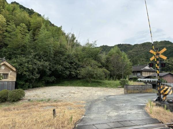 全景①