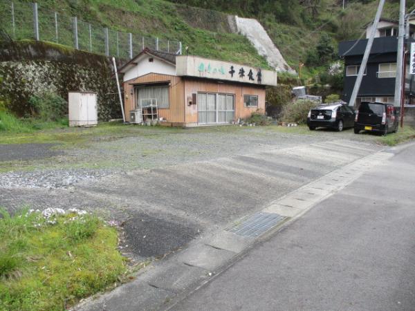 全景