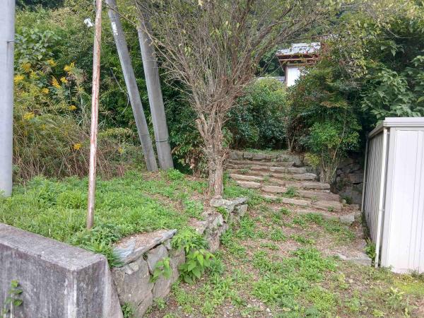 全景②